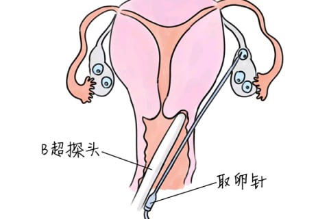 http://suzhou.huochezhan.net/post/205.html|苏州供卵助孕