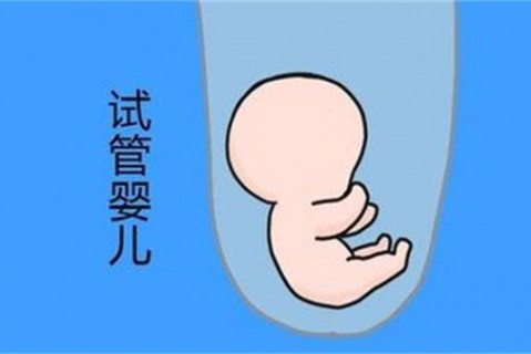 培养苏州捐卵宝宝艺术细胞的小技巧