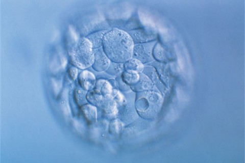 http://suzhou.huochezhan.net/post/200.html|苏州新闻中心